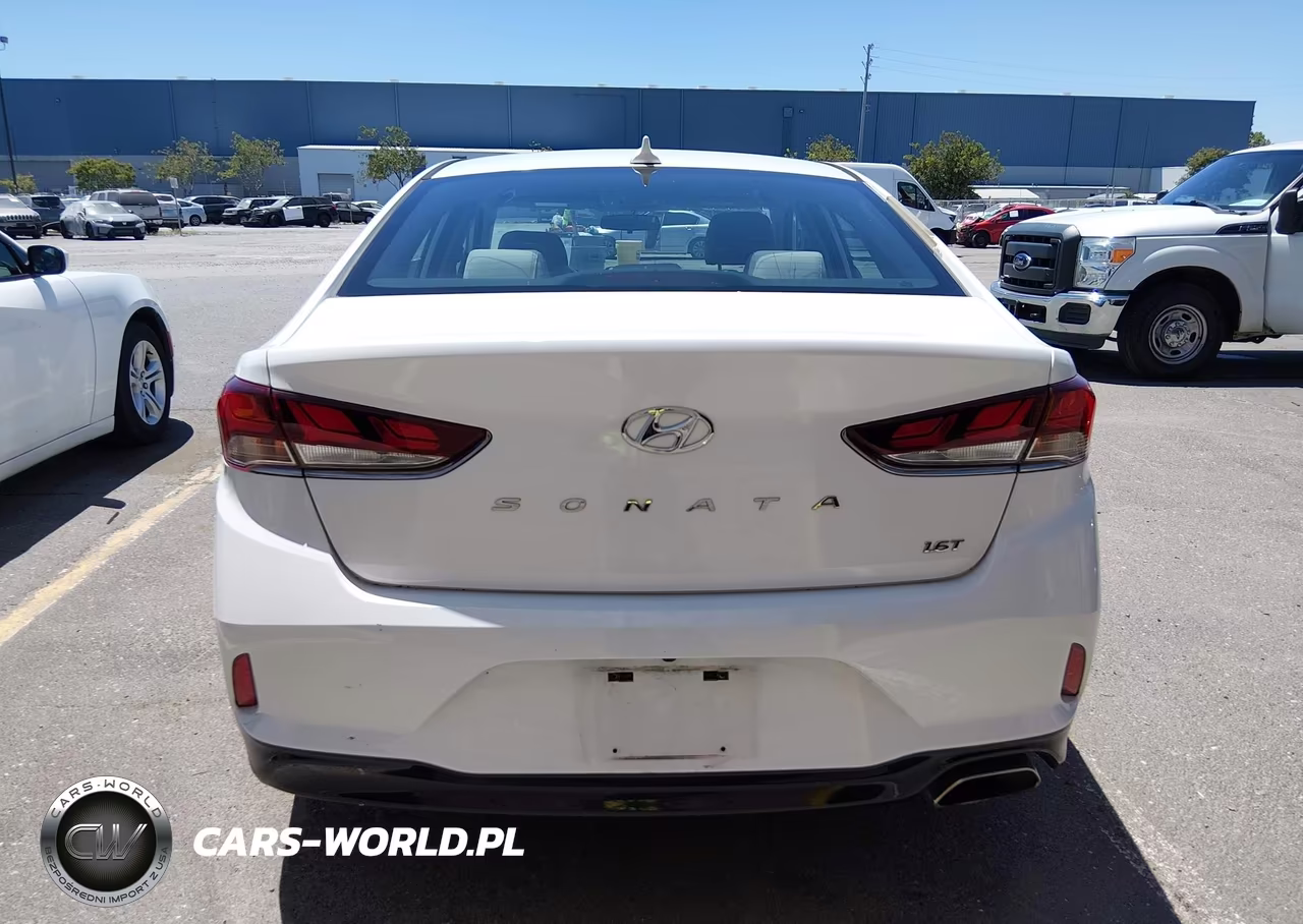 2019 Hyundai Sonata Eco VIN:5NPE24AA2KH774920 - 18
