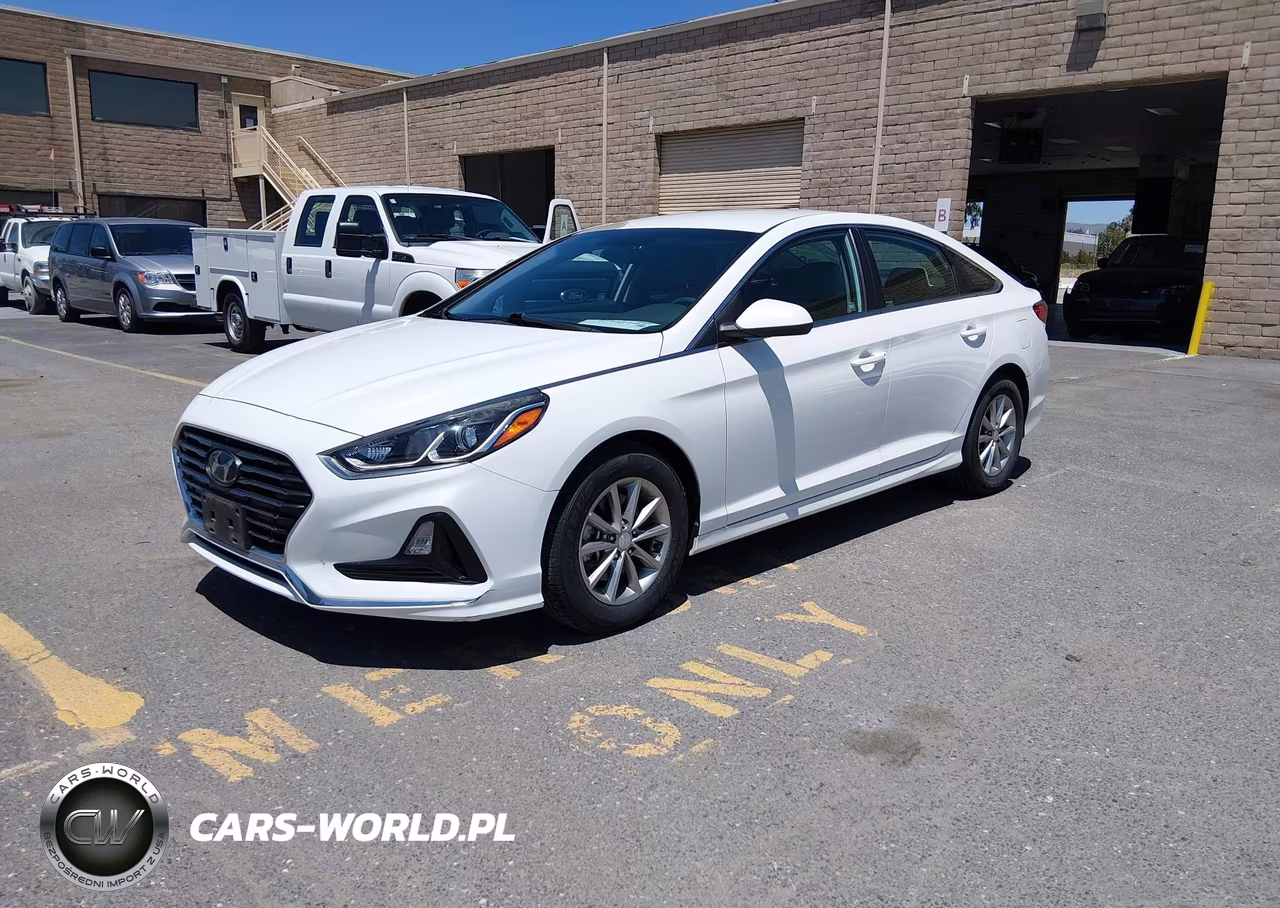 2019 Hyundai Sonata Eco VIN:5NPE24AA2KH774920 - 2