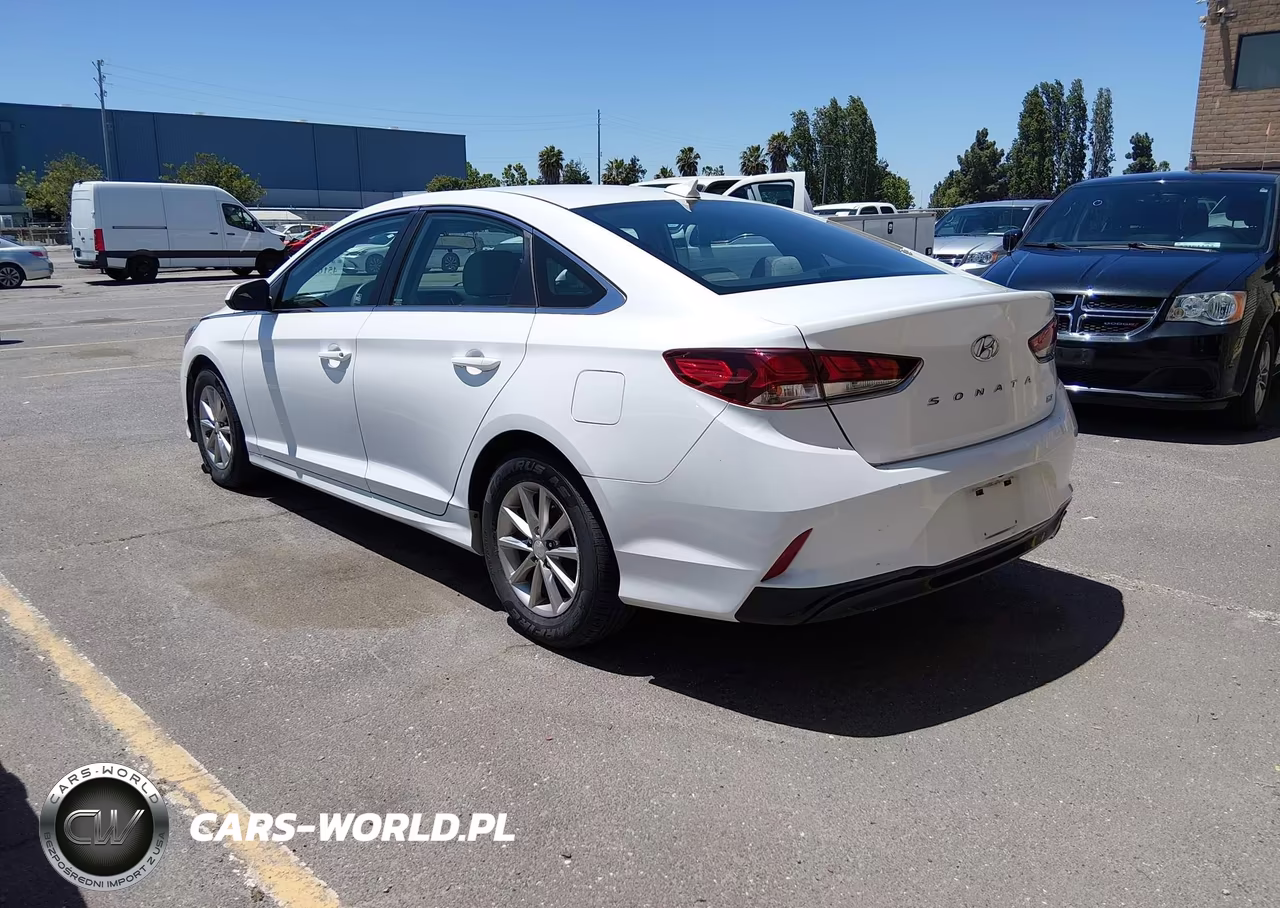 2019 Hyundai Sonata Eco VIN:5NPE24AA2KH774920 - 3