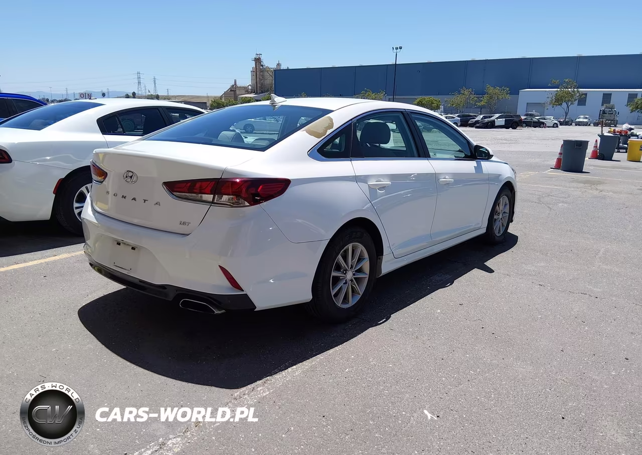 2019 Hyundai Sonata Eco VIN:5NPE24AA2KH774920 - 4