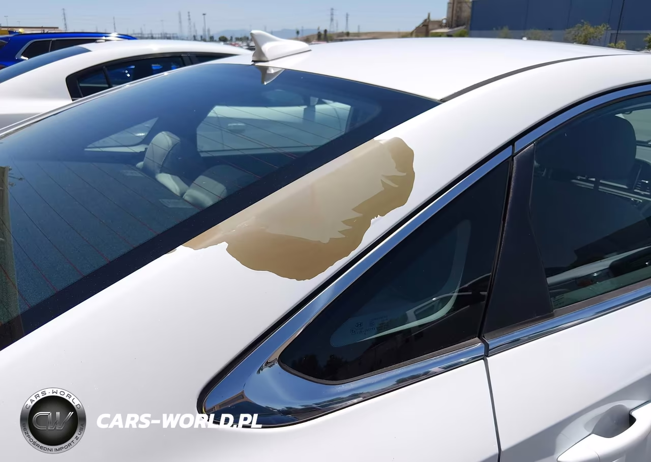 2019 Hyundai Sonata Eco VIN:5NPE24AA2KH774920 - 6