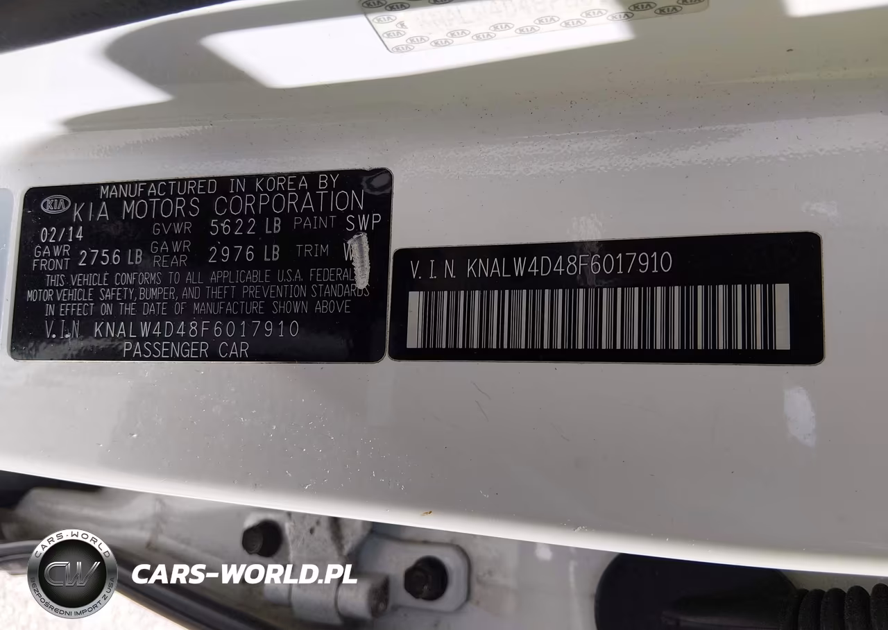 2015 Kia K900 Luxury VIN:KNALW4D48F6017910 - 9