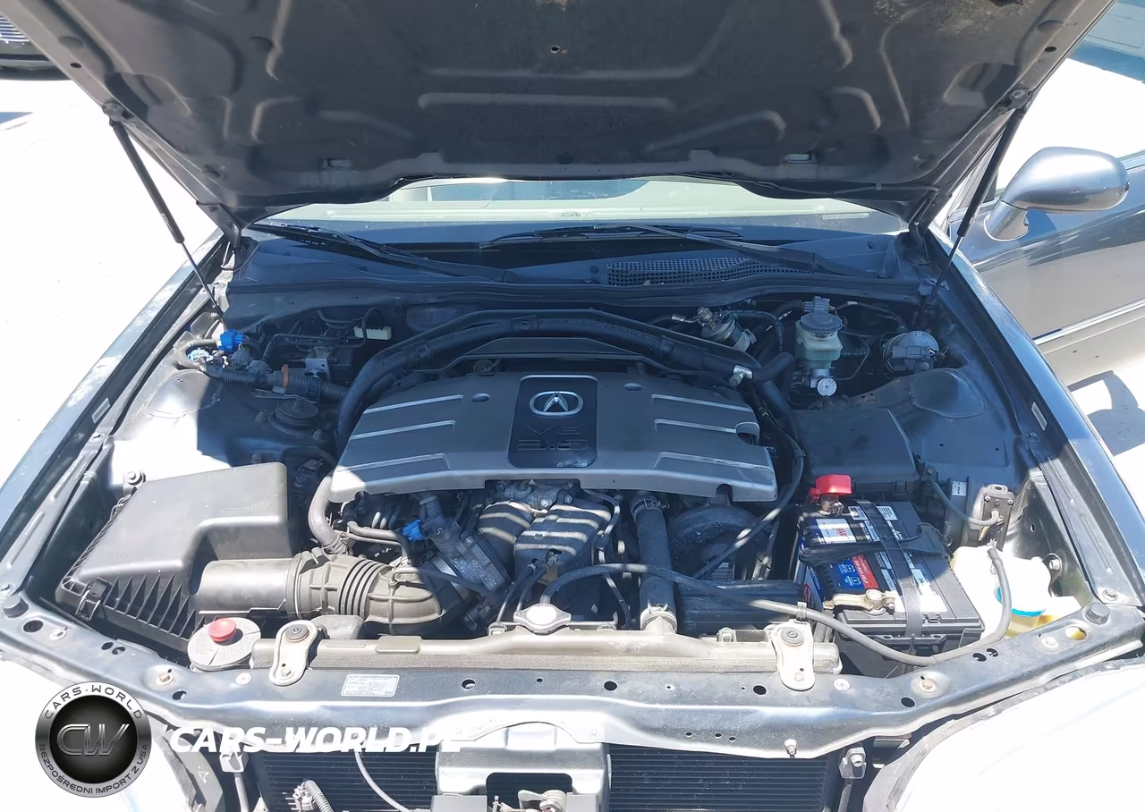 2004 Acura Rl 3.5 VIN:JH4KA96604C007913 - 10