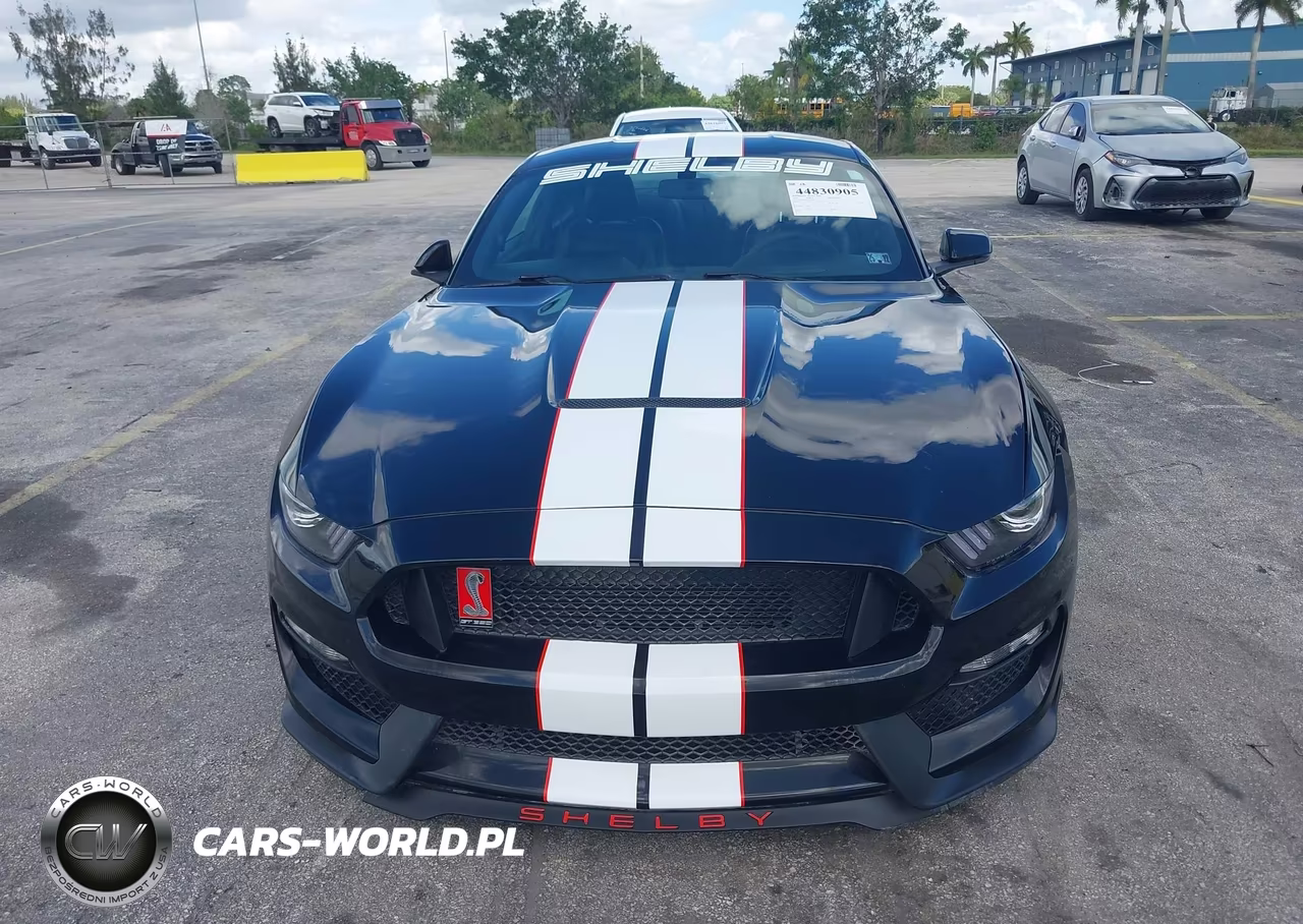 2016 Ford Mustang Shelby Gt350 VIN:1FA6P8JZ6G5525942 - 12