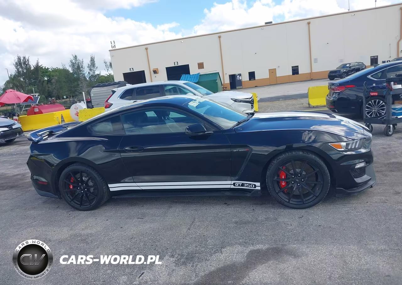 2016 Ford Mustang Shelby Gt350 VIN:1FA6P8JZ6G5525942 - 13