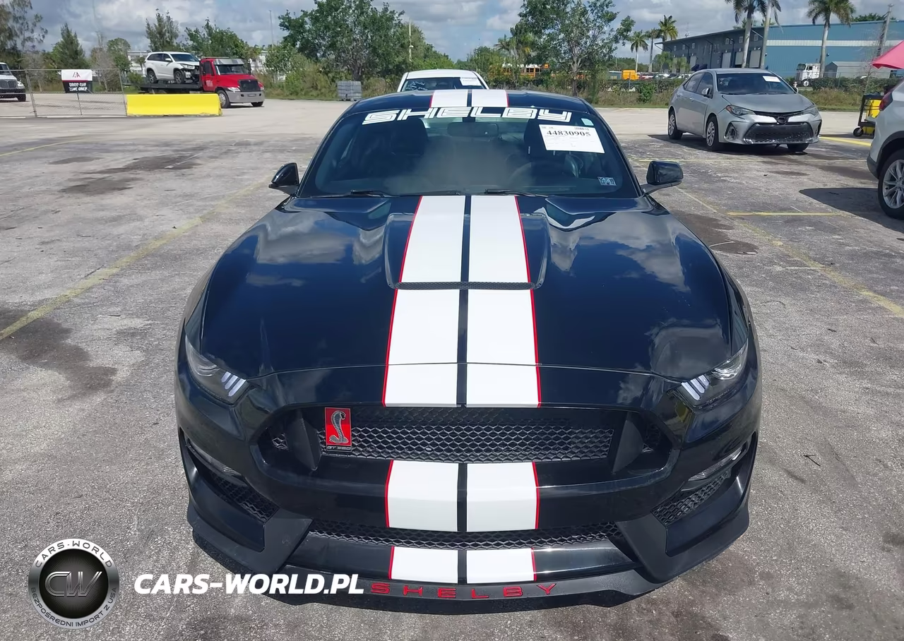 2016 Ford Mustang Shelby Gt350 VIN:1FA6P8JZ6G5525942 - 17