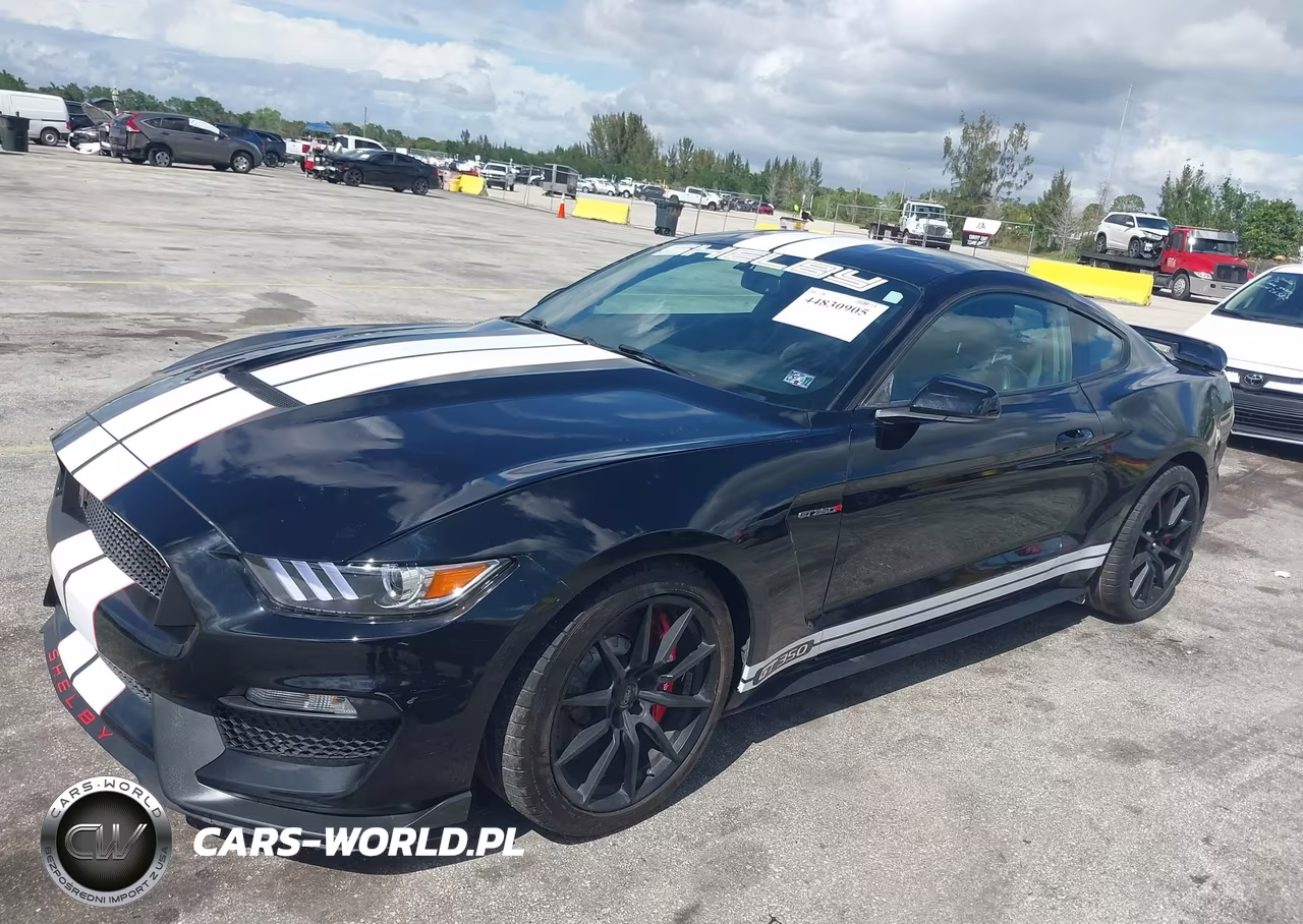 2016 Ford Mustang Shelby Gt350 VIN:1FA6P8JZ6G5525942 - 19