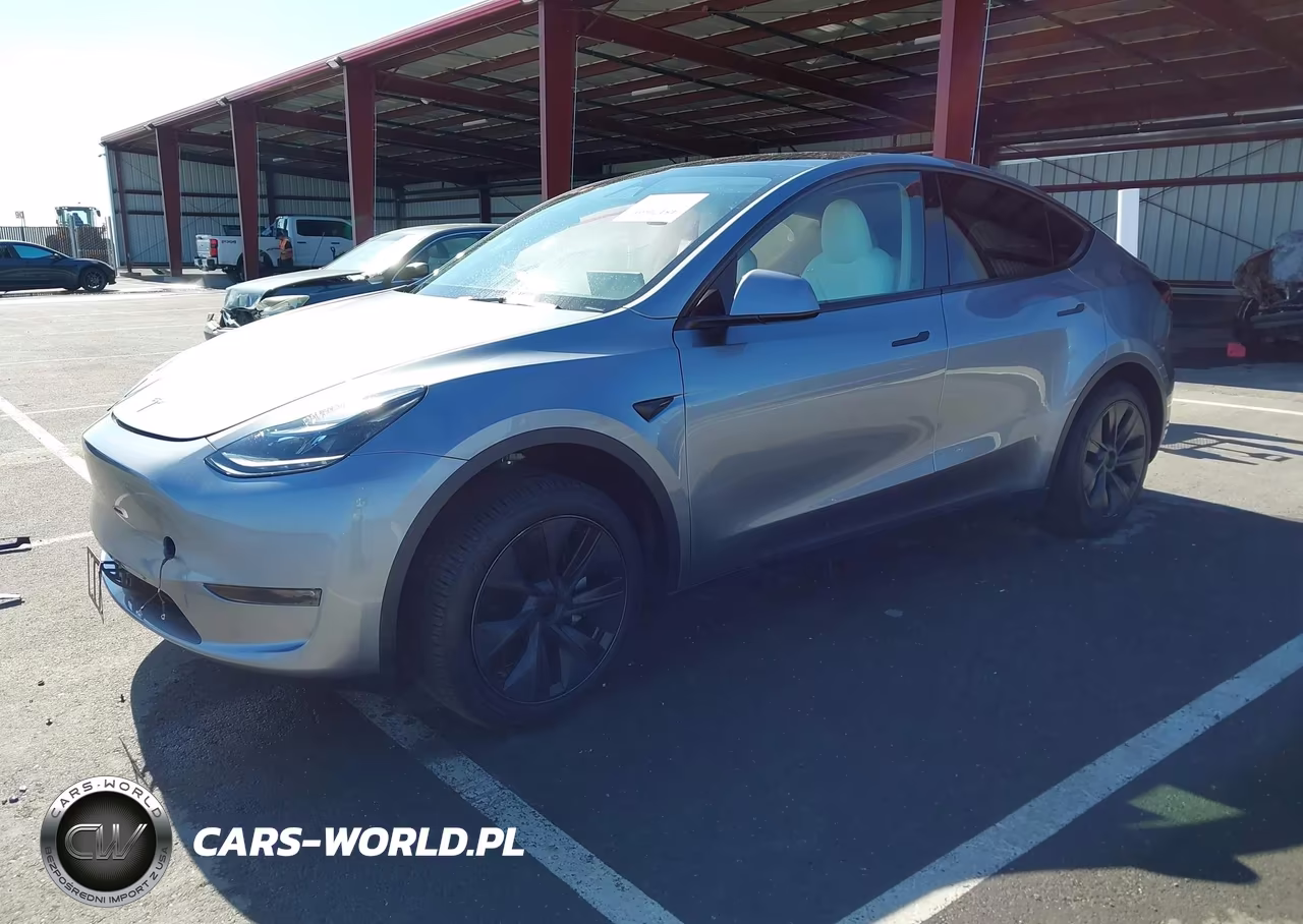 2024 Tesla Model Y Long Range Dual Motor All-Wheel Drive VIN:7SAYGDEE3RA325024 - 2