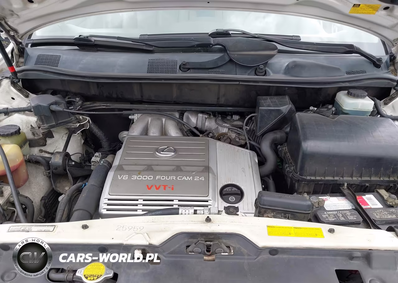 2001 Lexus Rx 300 VIN:JTJHF10U310215901 - 10