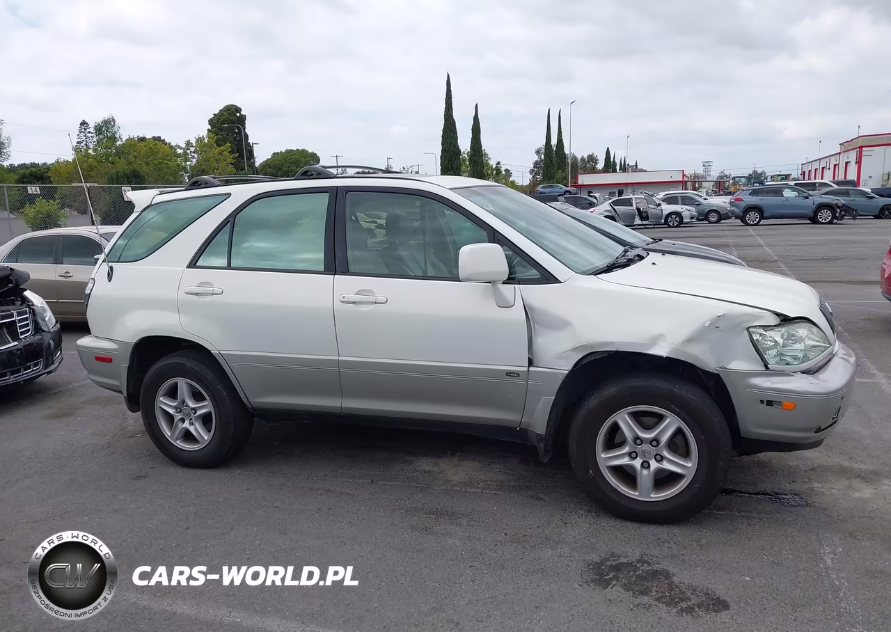 2001 Lexus Rx 300 VIN:JTJHF10U310215901 - 13