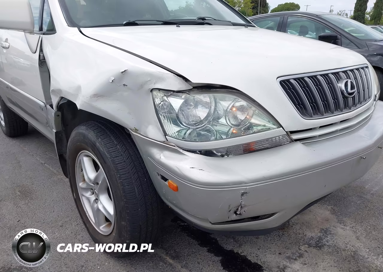 2001 Lexus Rx 300 VIN:JTJHF10U310215901 - 6