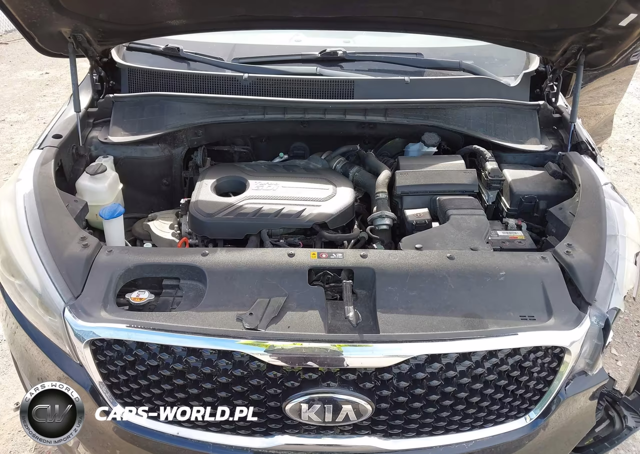 2016 Kia Sorento 2.0T Ex VIN:5XYPHDA11GG049749 - 10