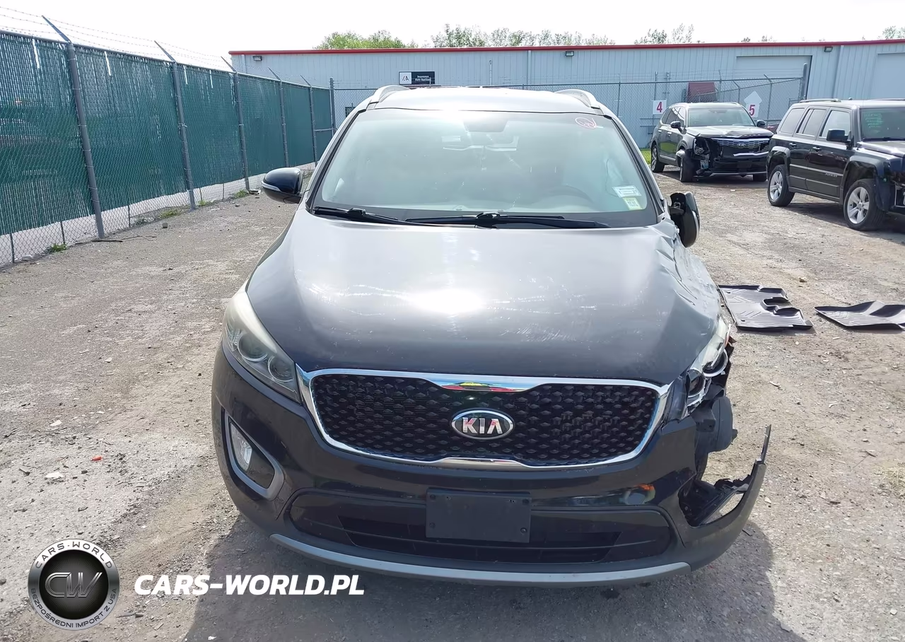 2016 Kia Sorento 2.0T Ex VIN:5XYPHDA11GG049749 - 12
