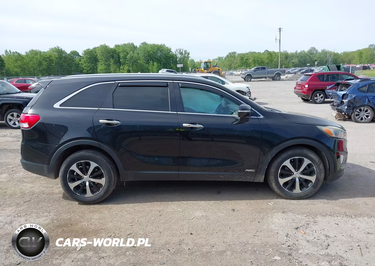 2016 Kia Sorento 2.0T Ex VIN:5XYPHDA11GG049749 - 13