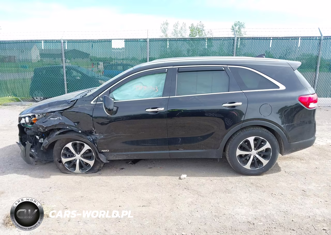 2016 Kia Sorento 2.0T Ex VIN:5XYPHDA11GG049749 - 14
