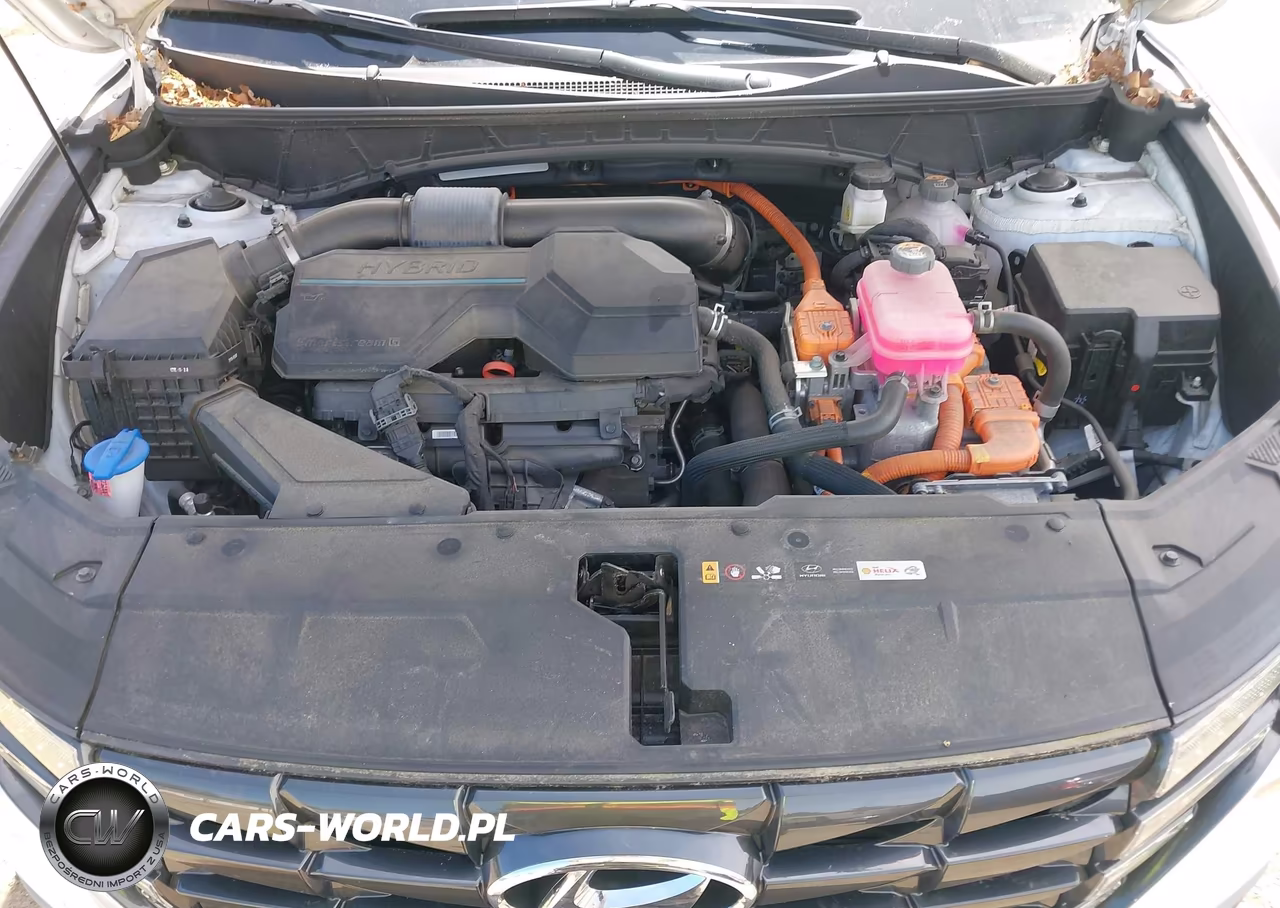 2023 Hyundai Tucson Hybrid Blue VIN:KM8JBCA11PU101506 - 10
