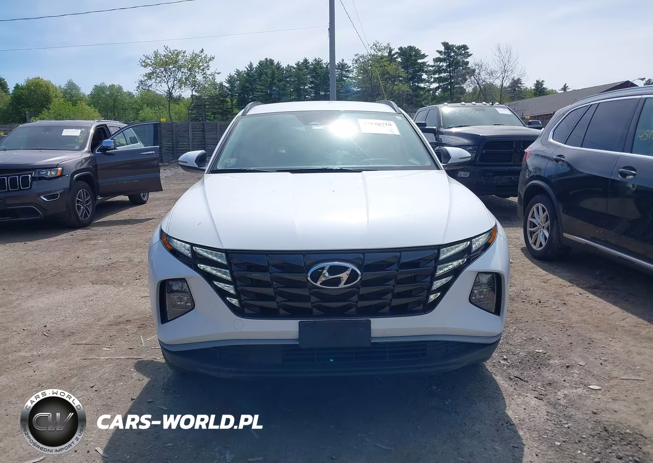2023 Hyundai Tucson Hybrid Blue VIN:KM8JBCA11PU101506 - 13