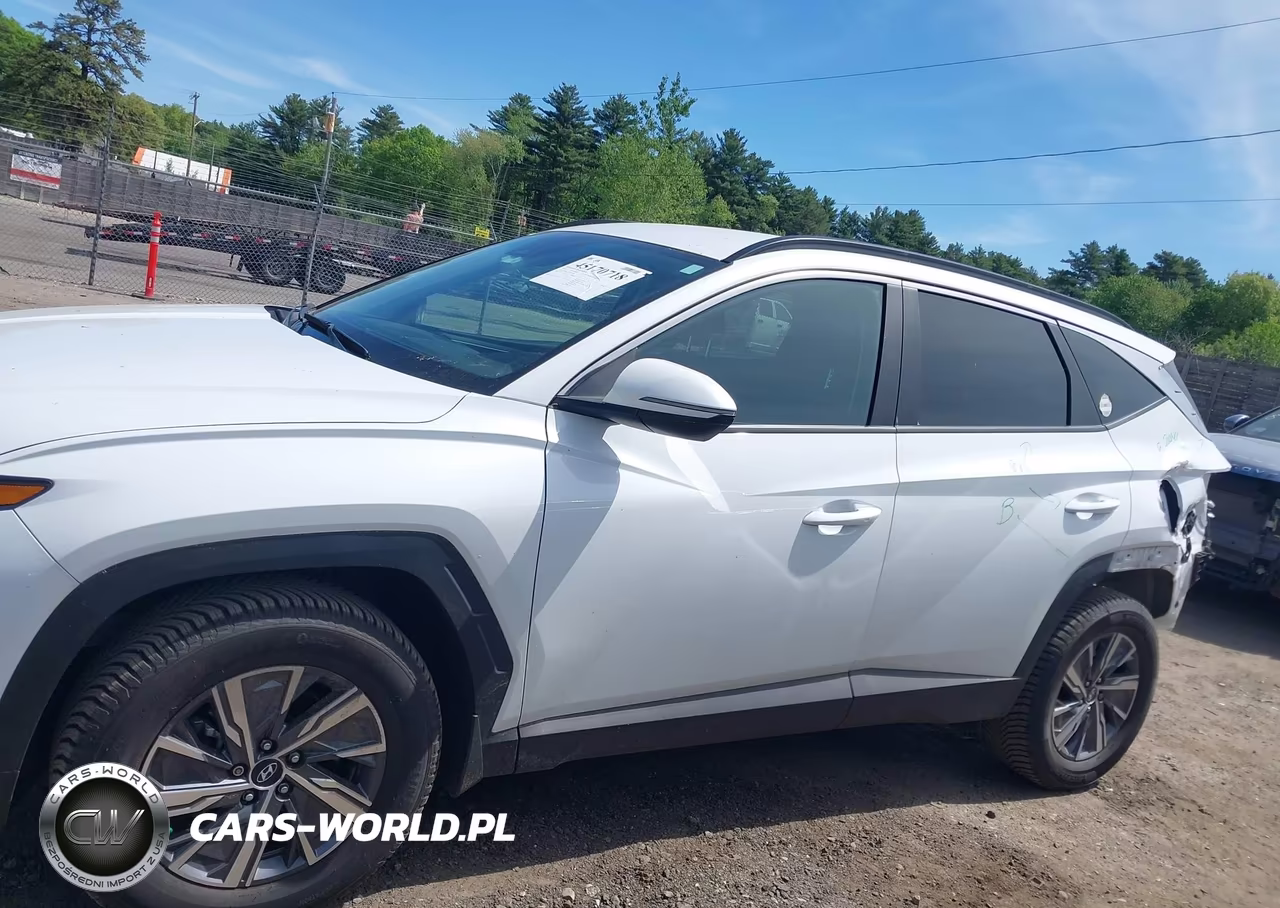2023 Hyundai Tucson Hybrid Blue VIN:KM8JBCA11PU101506 - 15