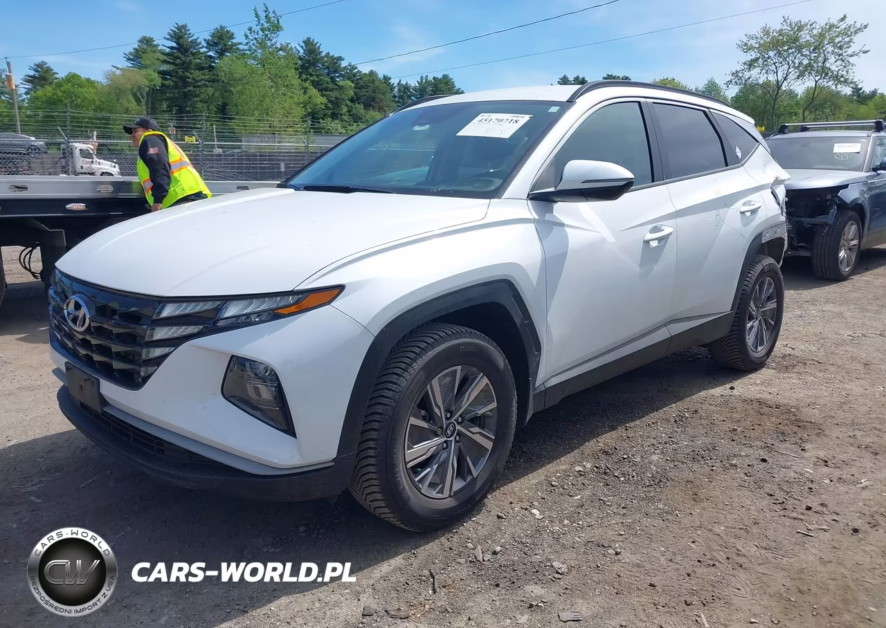 2023 Hyundai Tucson Hybrid Blue VIN:KM8JBCA11PU101506 - 2