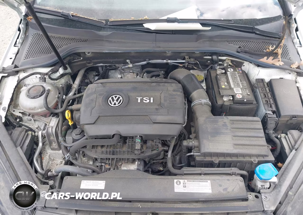 2019 Volkswagen Golf Alltrack Tsi S-Tsi Se-Tsi Sel VIN:3VWH17AU9KM520561 - 10
