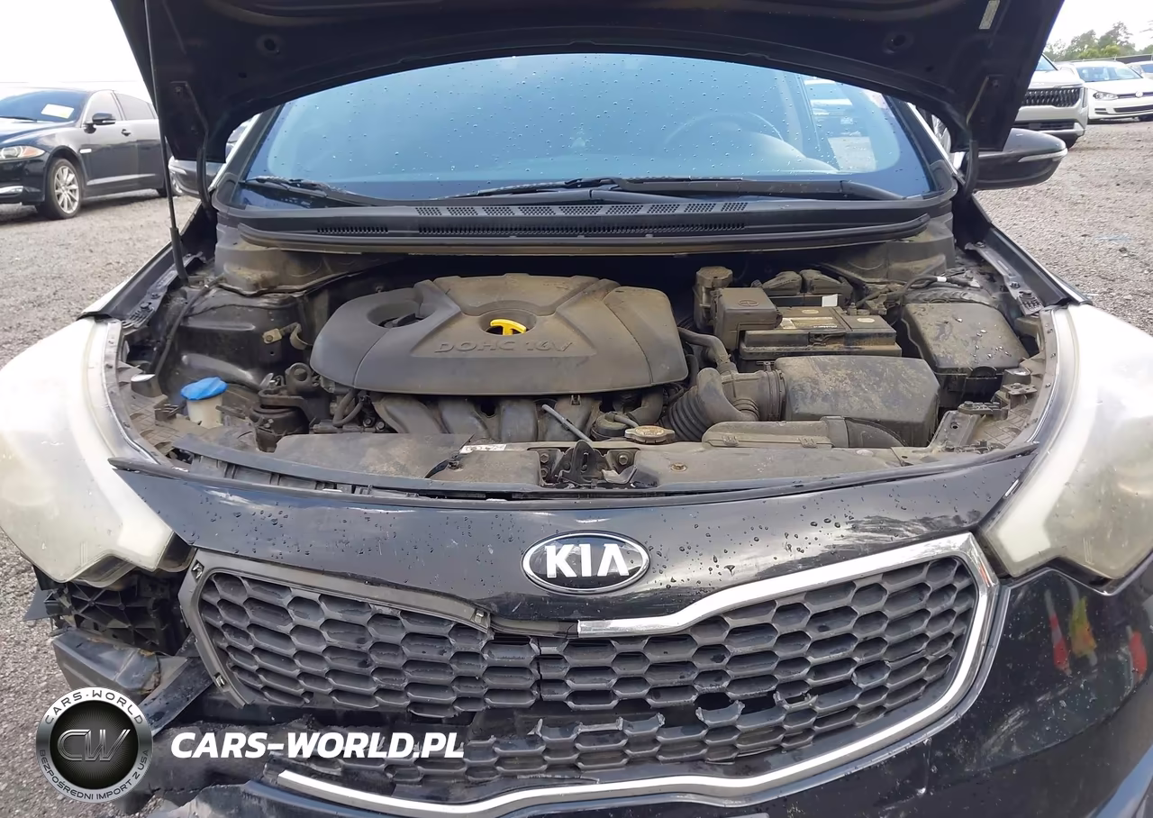 2016 Kia Forte Lx VIN:KNAFX4A6XG5612572 - 10