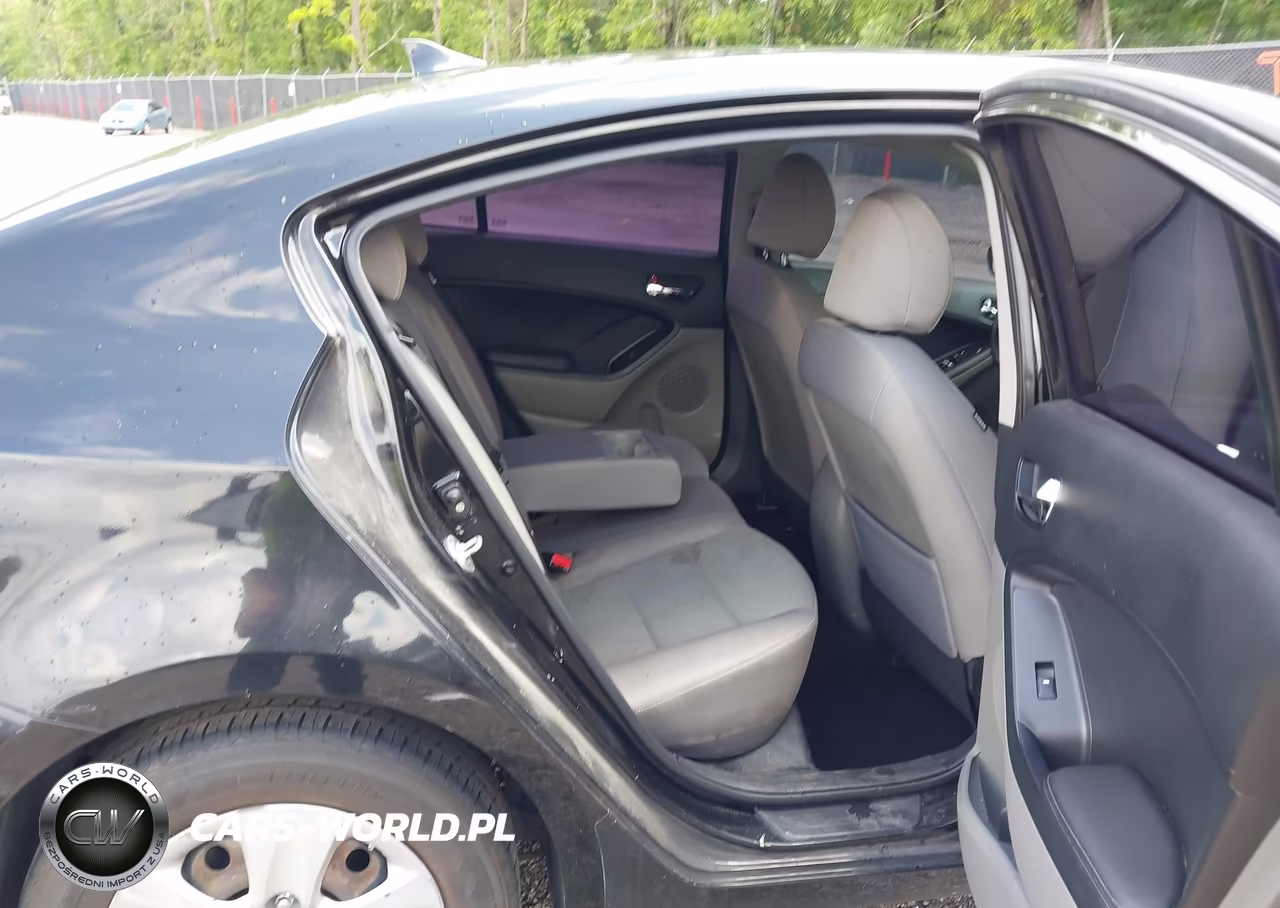 2016 Kia Forte Lx VIN:KNAFX4A6XG5612572 - 8