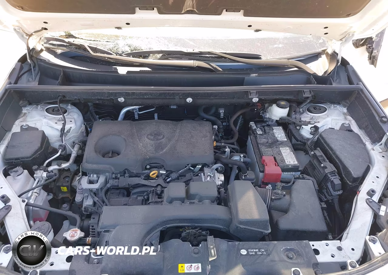 2024 Toyota Rav4 Xle VIN:2T3P1RFV7RC399597 - 10