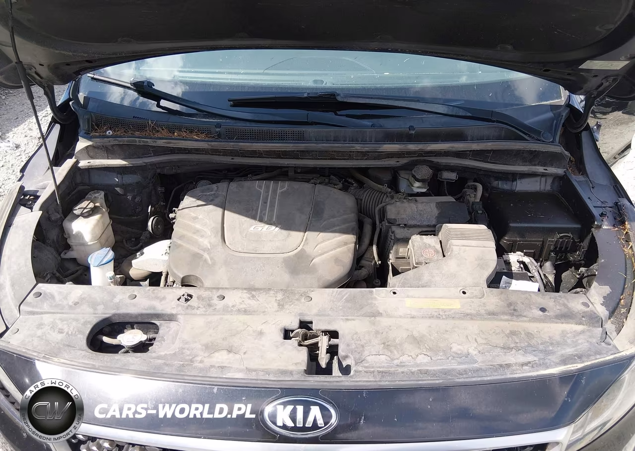 2015 Kia Sedona Sx VIN:KNDMC5C18F6045946 - 10