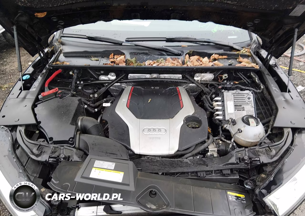 2018 Audi Sq5 3.0T Premium Plus VIN:WA1A4AFYXJ2013320 - 10