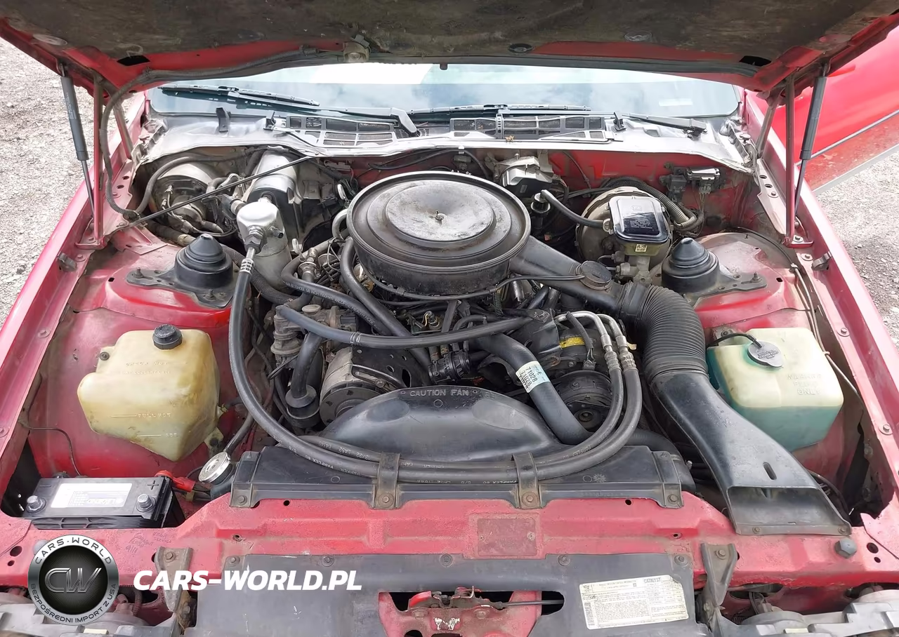 1984 Chevrolet Camaro VIN:1G1AP87H7EL211186 - 10
