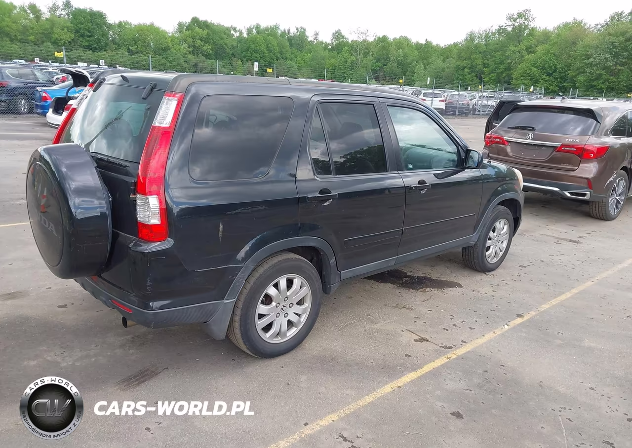 2006 Honda Cr-V Se VIN:SHSRD78976U434894 - 4
