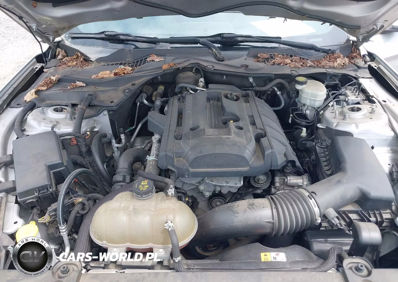 2016 Ford Mustang Ecoboost VIN:1FA6P8TH7G5241658 - 10