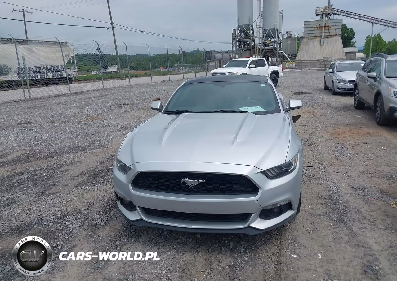 2016 Ford Mustang Ecoboost VIN:1FA6P8TH7G5241658 - 12