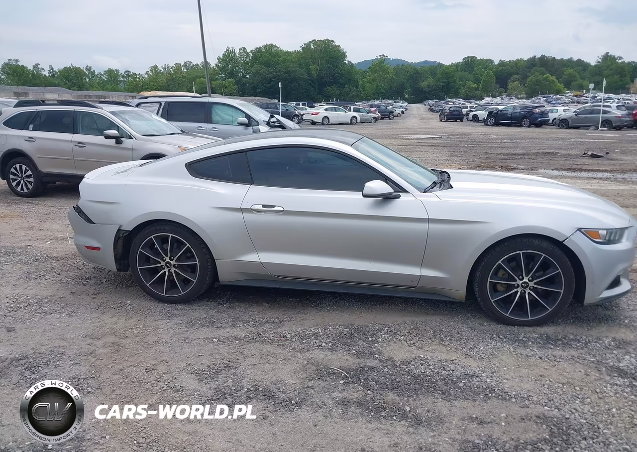2016 Ford Mustang Ecoboost VIN:1FA6P8TH7G5241658 - 13