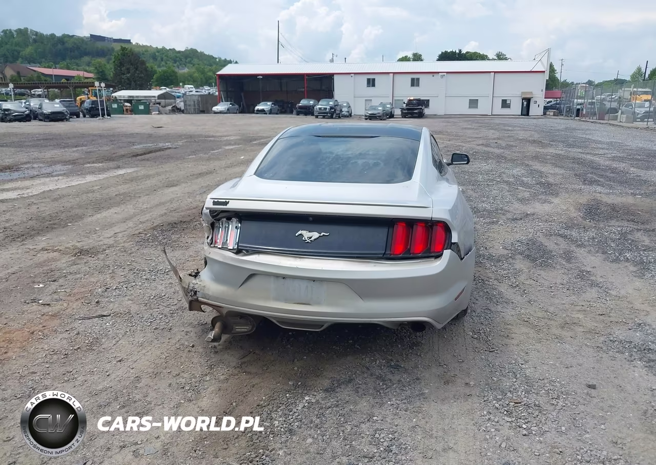 2016 Ford Mustang Ecoboost VIN:1FA6P8TH7G5241658 - 16