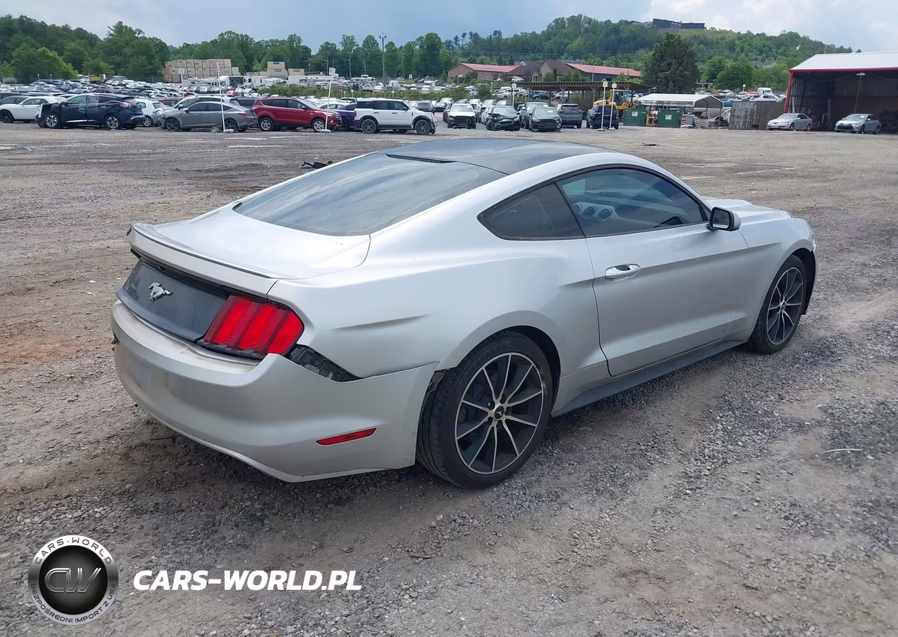 2016 Ford Mustang Ecoboost VIN:1FA6P8TH7G5241658 - 4