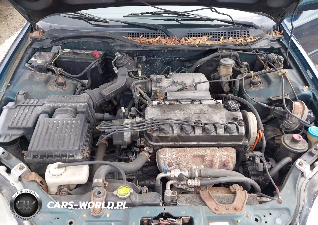 1997 Honda Civic Ex VIN:1HGEJ8244VL102202 - 10