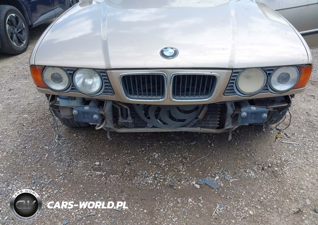 1995 BMW 525 I Automatic VIN:WBAHD6323SGK52923 - 6