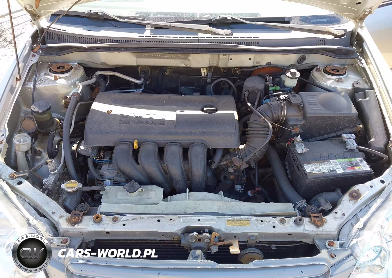 2003 Toyota Corolla Le VIN:JTDBR32E232006612 - 10