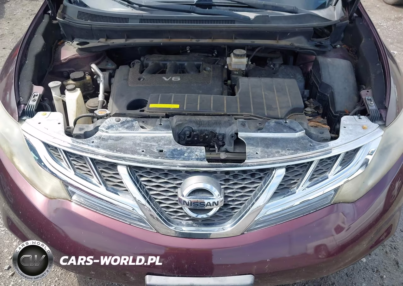 2013 Nissan Murano S VIN:JN8AZ1MU8DW211841 - 10