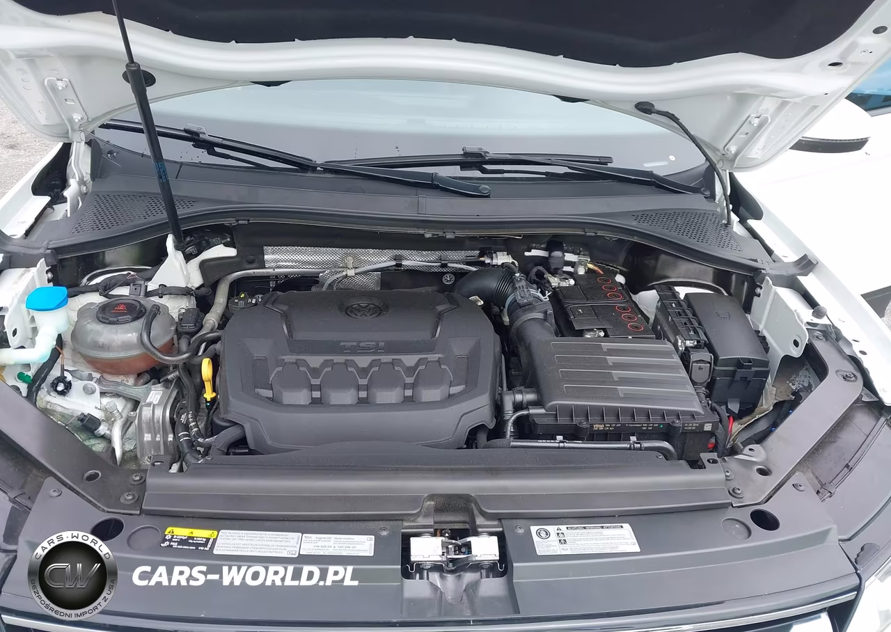 2019 Volkswagen Tiguan 2.0T S VIN:3VV0B7AX5KM007123 - 10