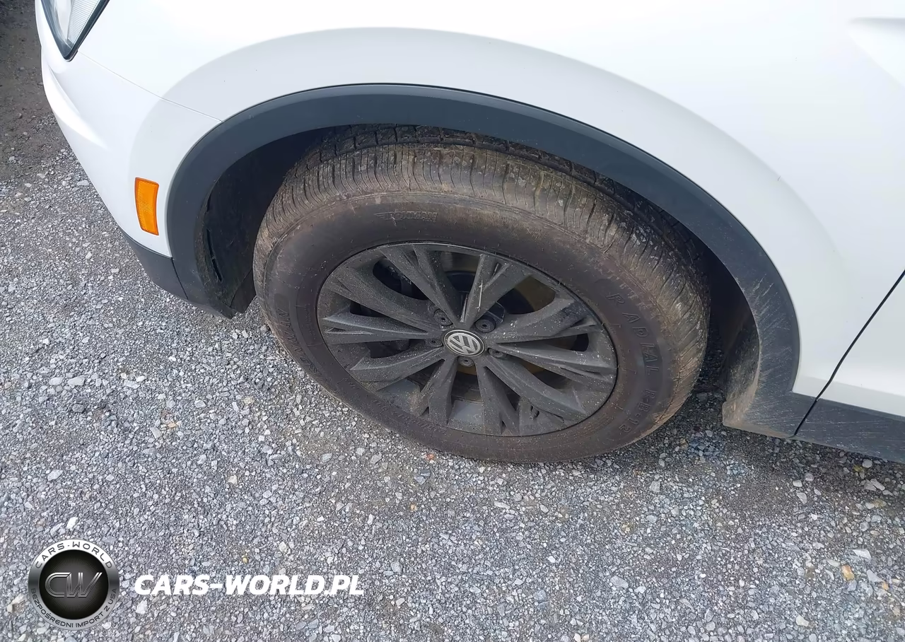2019 Volkswagen Tiguan 2.0T S VIN:3VV0B7AX5KM007123 - 12
