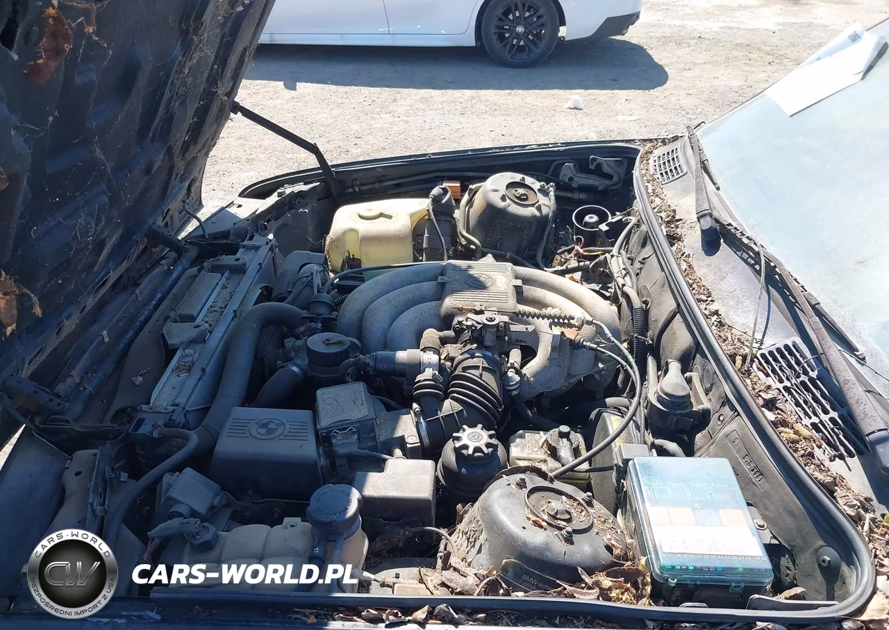 1991 BMW 325 I-Is VIN:WBAAA1311MEC69581 - 10