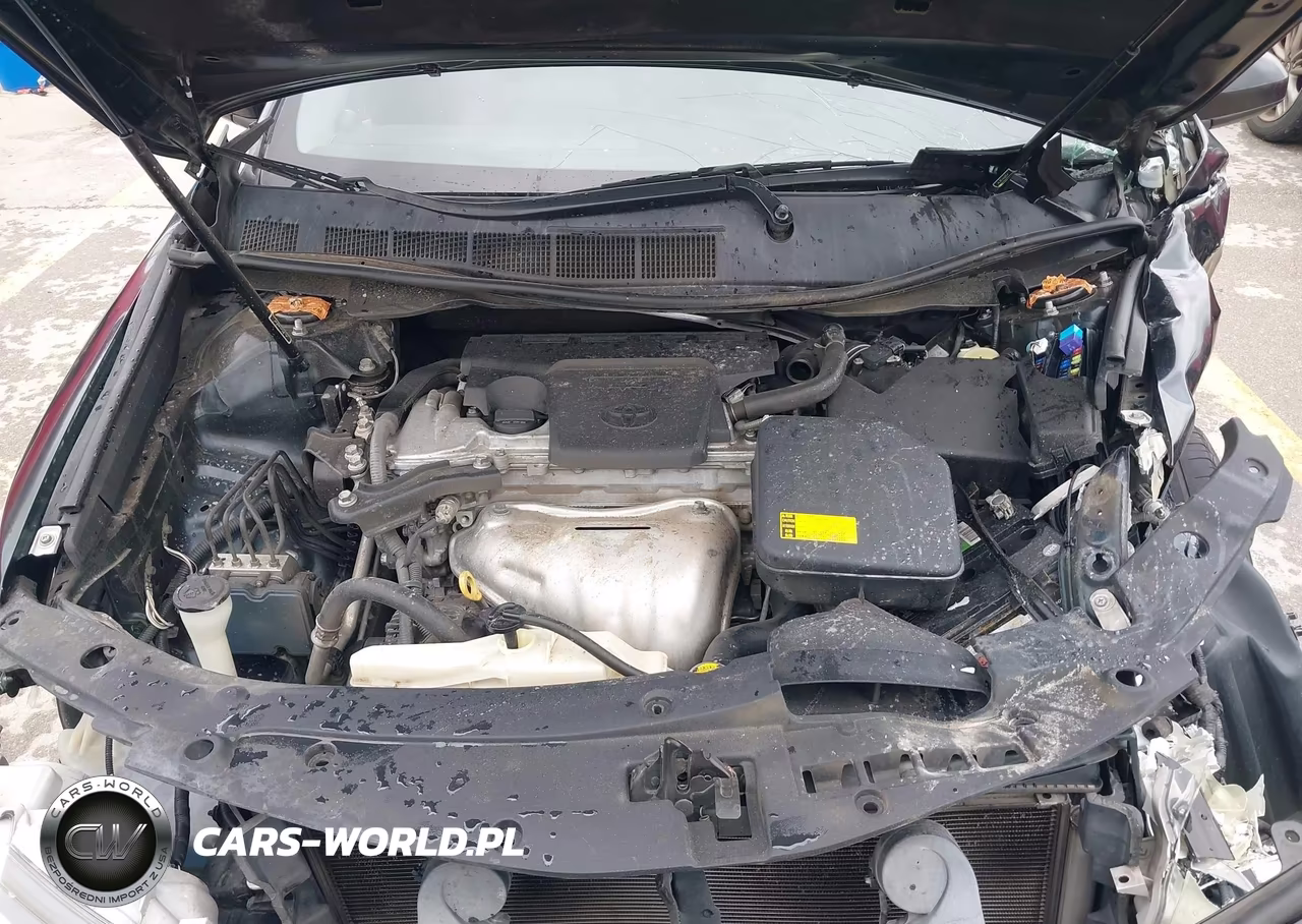 2014 Toyota Camry Se VIN:4T1BF1FK5EU869503 - 10