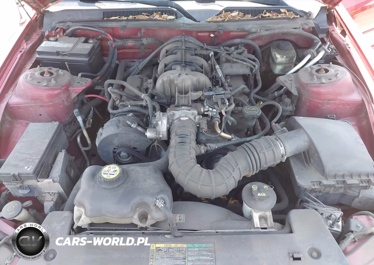 2005 Ford Mustang VIN:1ZVFT84N455219881 - 10