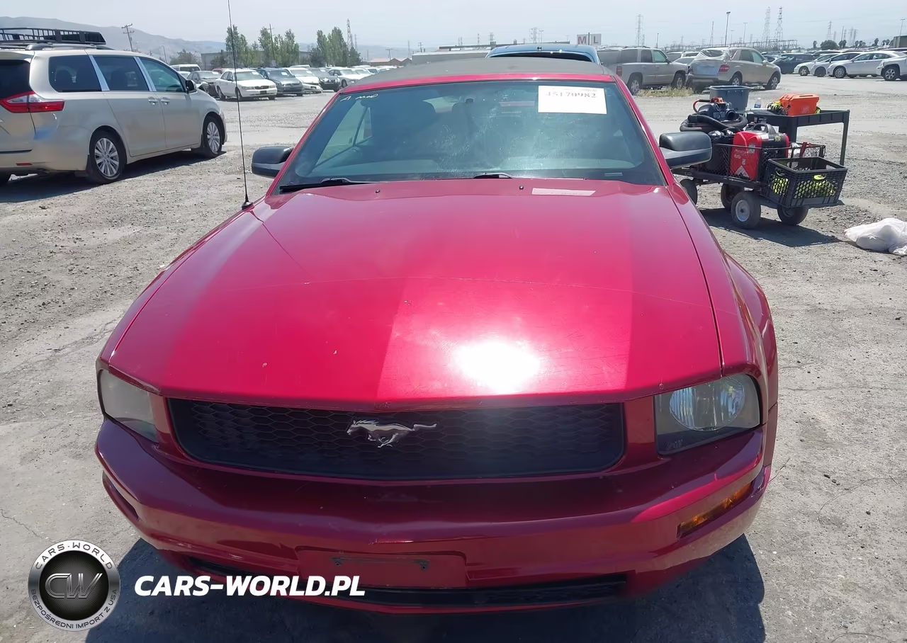 2005 Ford Mustang VIN:1ZVFT84N455219881 - 12