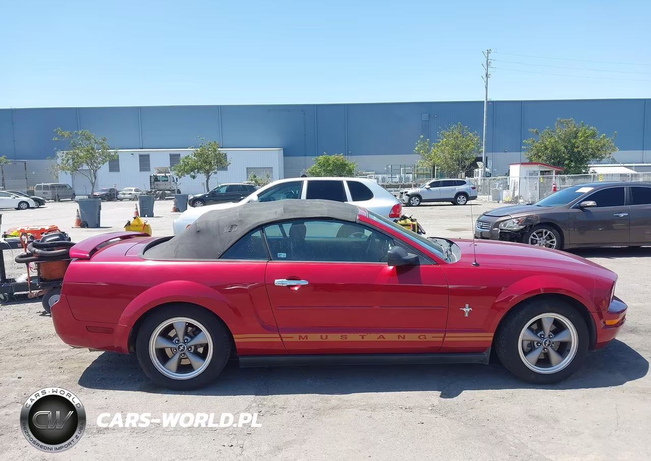 2005 Ford Mustang VIN:1ZVFT84N455219881 - 13
