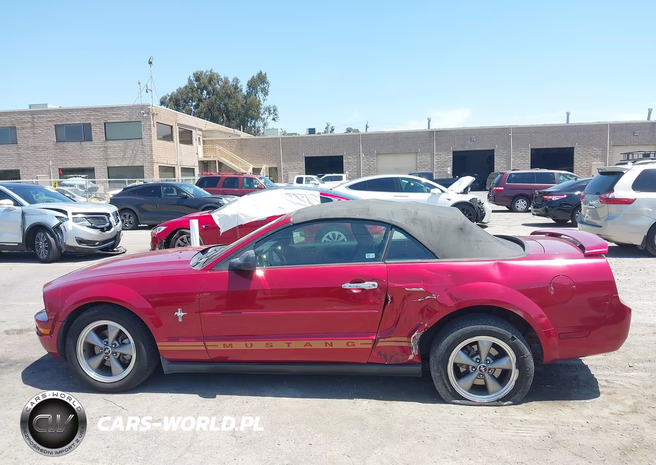2005 Ford Mustang VIN:1ZVFT84N455219881 - 14