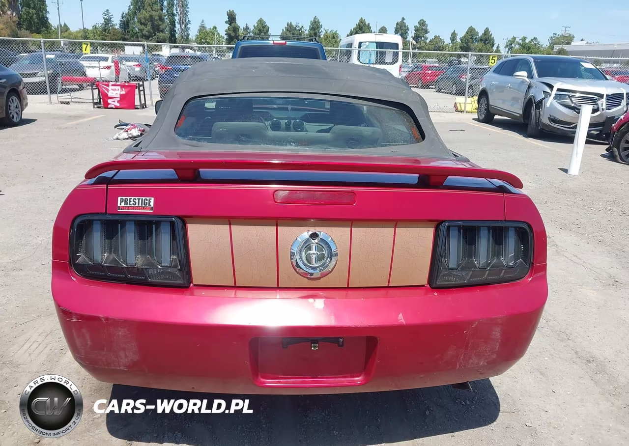 2005 Ford Mustang VIN:1ZVFT84N455219881 - 16