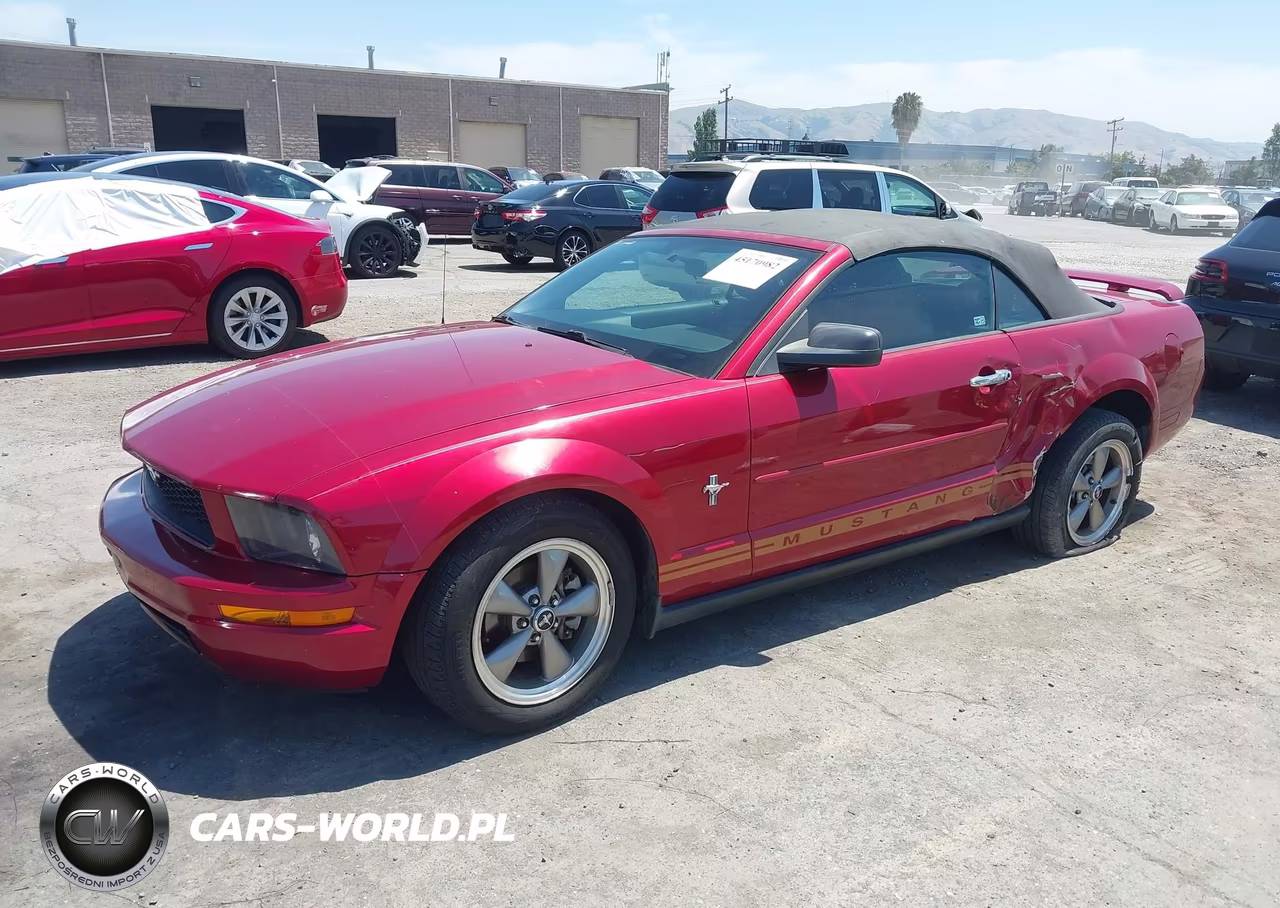 2005 Ford Mustang VIN:1ZVFT84N455219881 - 2